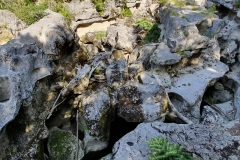 20190916_123614